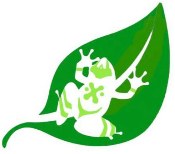 Willamil Consultoria Ambiental